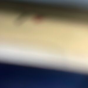 Meet your Posher, Bianca